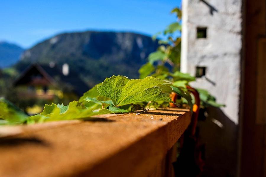 Apartmaji Pri Kozmavo - Little House Bohinj Exterior photo